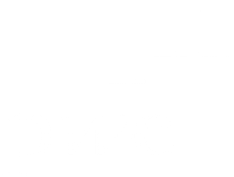 PwC logo